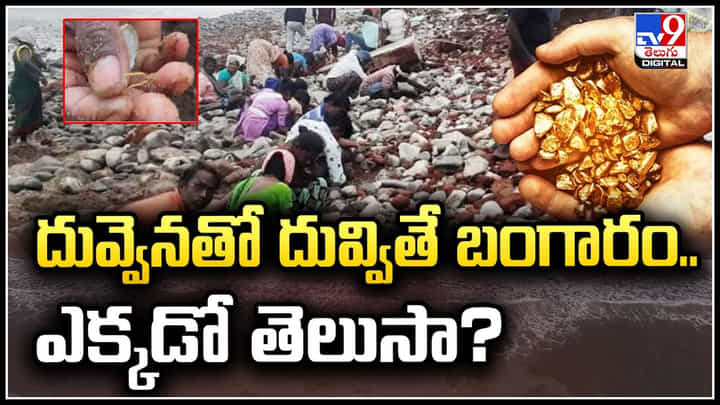 Gold: దువ్వెనతో దువ్వితే బంగారం.. ఎగబడ్డ జనం.. ఎక్కడో తెలుసా.? Gold: దువ్వెనతో దువ్వితే బంగారం.. ఎగబడ్డ జనం.. ఎక్కడో తెలుసా.?
