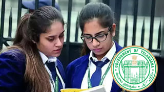 Inter Practicals: ఇకపై సీసీ కెమెరాల నీడలోనే ఇంటర్‌ ప్రాక్టికల్స్‌.. ఇంటర్ బోర్డు కీలక నిర్ణయం