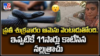 Viral: మా నాన్న పోలీస్.. నాకేం కాదు.! కారుపై యువకుడు హల్‌చల్‌.. వీడియో.