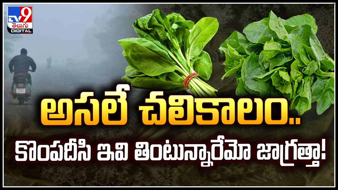 Winter Foods: అసలే చలికాలం.. కొంపదీసి ఇవి తింటున్నారేమో జాగ్రత్తా.!