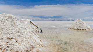 రోడ్డు రోలర్‌ శబ్దాన్ని భూకంపంగా పొరబడి.. స్కూల్‌ కిటికీలోంచి దూకేసిన విద్యార్థులు! తర్వాత జరిగిందిదే..