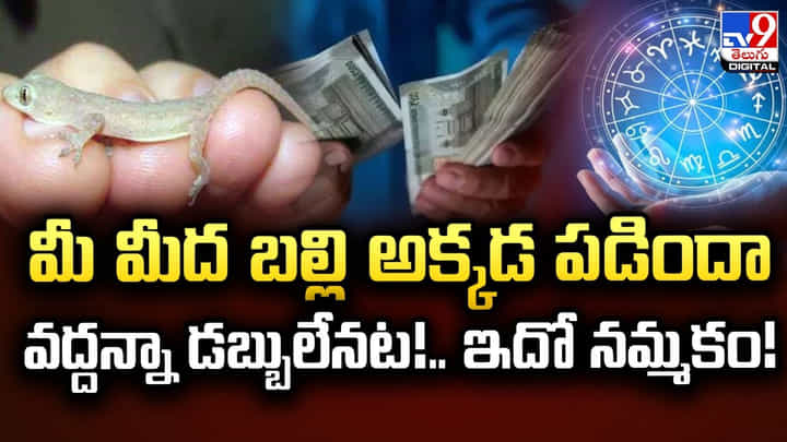 మీ మీద బల్లి అక్కడ పడిందా.. వద్దన్నా డబ్బులేనట !! మీ మీద బల్లి అక్కడ పడిందా.. వద్దన్నా డబ్బులేనట !!