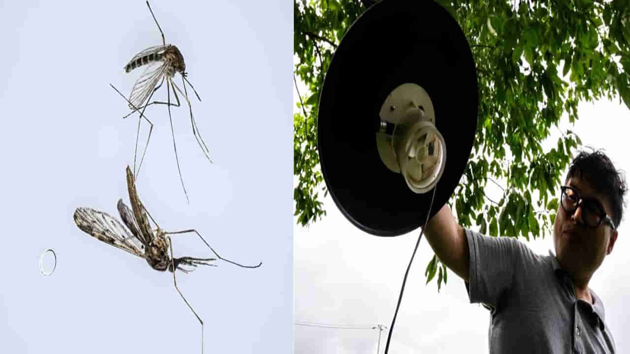 Malaria Mosquitoes: ఇరు దేశాలకు సవాల్ విసురుతోన్న దోమలు.. పట్టుకోవడానికి ట్రాకింగ్ పరికరాలు ఎందుకంటే..