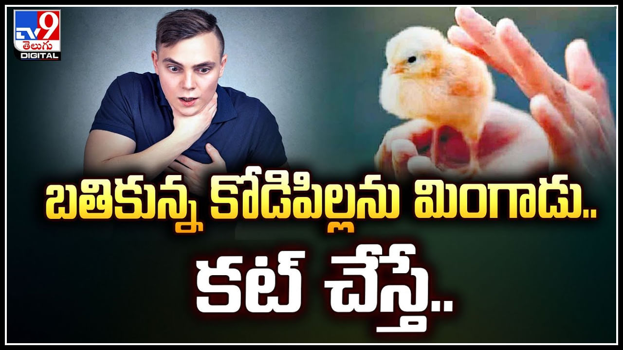 Viral: మాంత్రికుడి మాటలు విని.. బతికున్న కోడిపిల్లను మింగాడు.! కట్ చేస్తే..