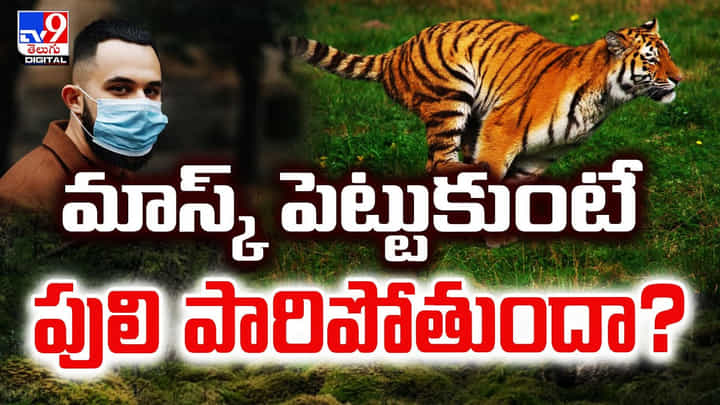 మాస్క్ పెట్టుకుంటే పులి పారిపోతుందా ?? మాస్క్ పెట్టుకుంటే పులి పారిపోతుందా ??