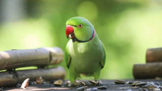 తీరని విషాదం.. పెళ్లైన 18ఏళ్లకు పుట్టిన మగబిడ్డ.. ఆడుకుంటూ విక్స్‌ మూత మింగేశాడు..!