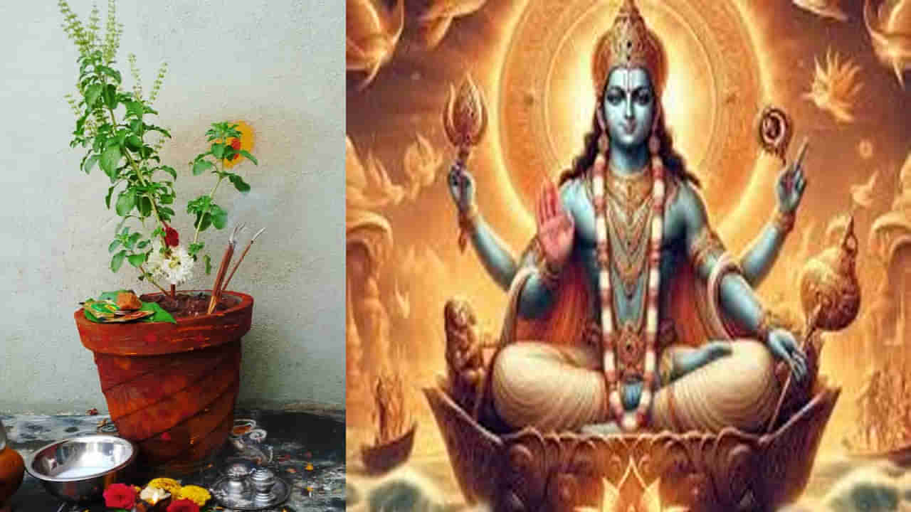 Mokshada Ekadashi: మోక్షద ఏకాదశి రోజున తులసికి సంబంధించిన ఈ పరిహారాలు చేయండి.. ఖజానా డబ్బుతో నిండిపోతుంది