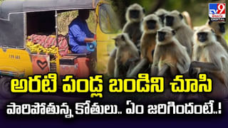 Viral Video: గాల్లో ఫీట్లు అనుకుంటిరా..? స్కూల్‌ బస్సు టైర్‌ పేలడంతో ఎగిరిపడిన మెకానిక్‌! వీడియో చూశారా..