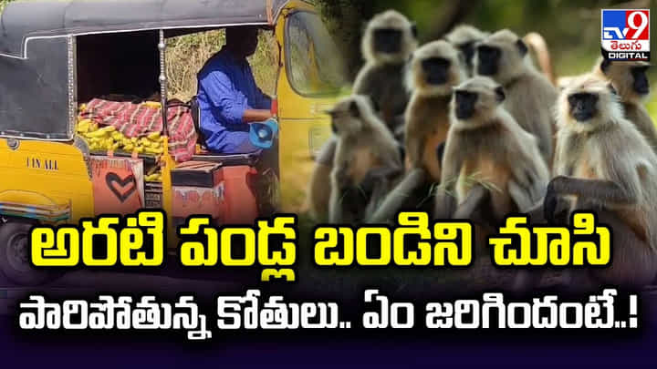 అరటి పండ్ల బండిని చూసి పారిపోతున్న కోతులు.. ఏం జరిగిందంటే ?? అరటి పండ్ల బండిని చూసి పారిపోతున్న కోతులు.. ఏం జరిగిందంటే ??