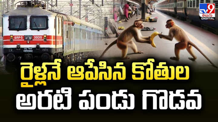 అరటి పండు గొడవ.. రైళ్లనే ఆపేసిన కోతులు !! అరటి పండు గొడవ.. రైళ్లనే ఆపేసిన కోతులు !!