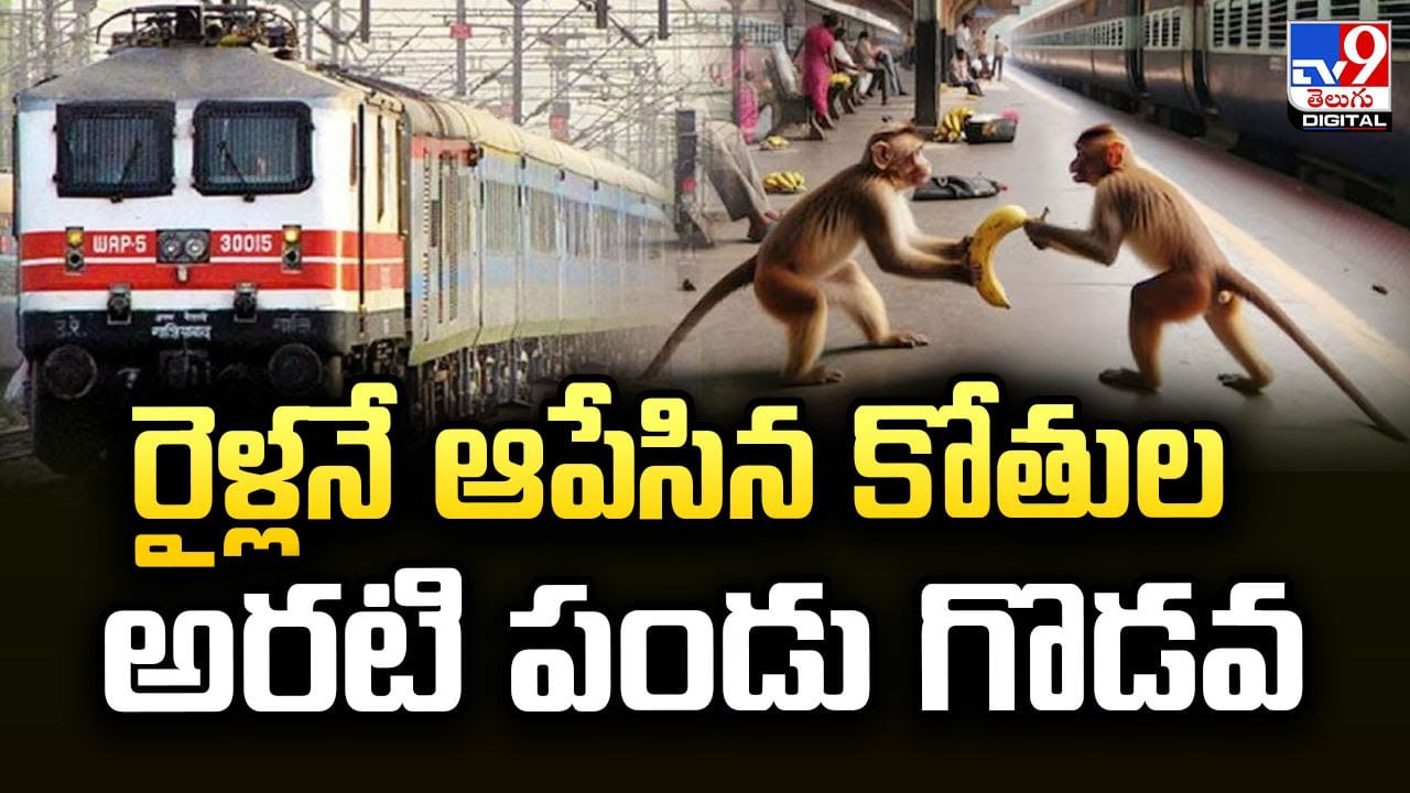 అరటి పండు గొడవ.. రైళ్లనే ఆపేసిన కోతులు !!