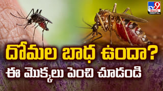 Smart phone: పురుషుల్లో సంతాన సమస్యలకు.. స్మార్ట్‌ఫోన్‌ కారణమవుతుందా.?
