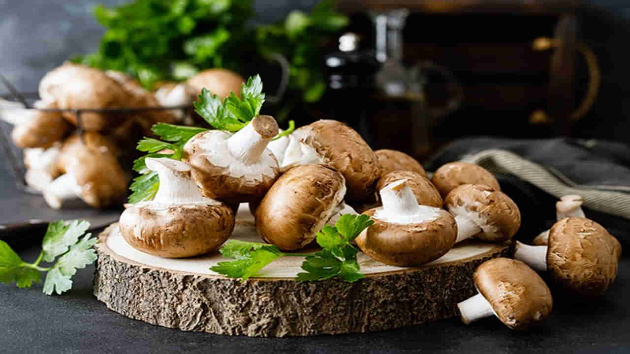 Mushrooms Uses: శీతాకాలంలో పుట్టగొడుగులతో పుట్టెడు లాభాలు.. క్యాన్సర్‌కు కూడా చెక్ పెట్టొచ్చు..