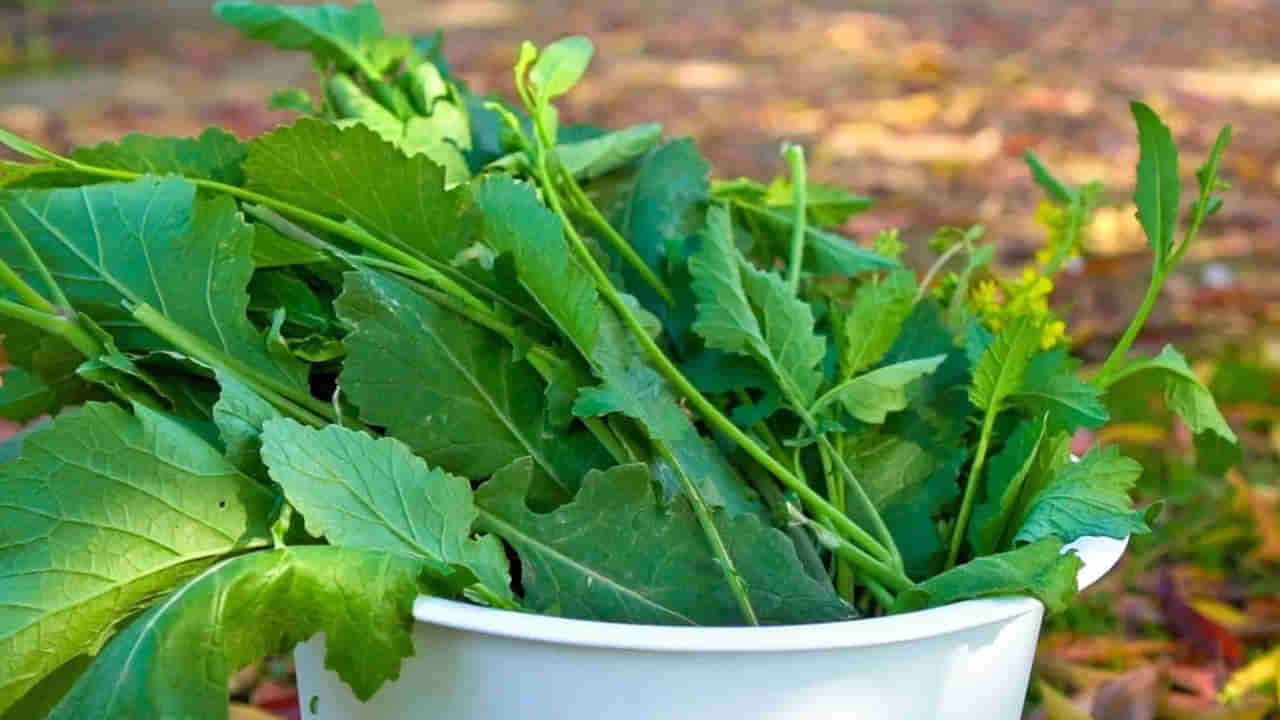 Mustard Leaves Benefits: చలికాలంలో ఈ ఆకుకూర తింటే.. ఎన్నో పోషకాలు.. మీ శరీరం ఫిట్‌గా ఉంటుంది.. !