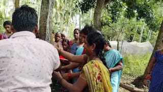 Andhra Pradesh: ఆకట్టుకుంటున్న వరి కంకుల అలంకరణలు.. ఎలా చేశారో చూడండి