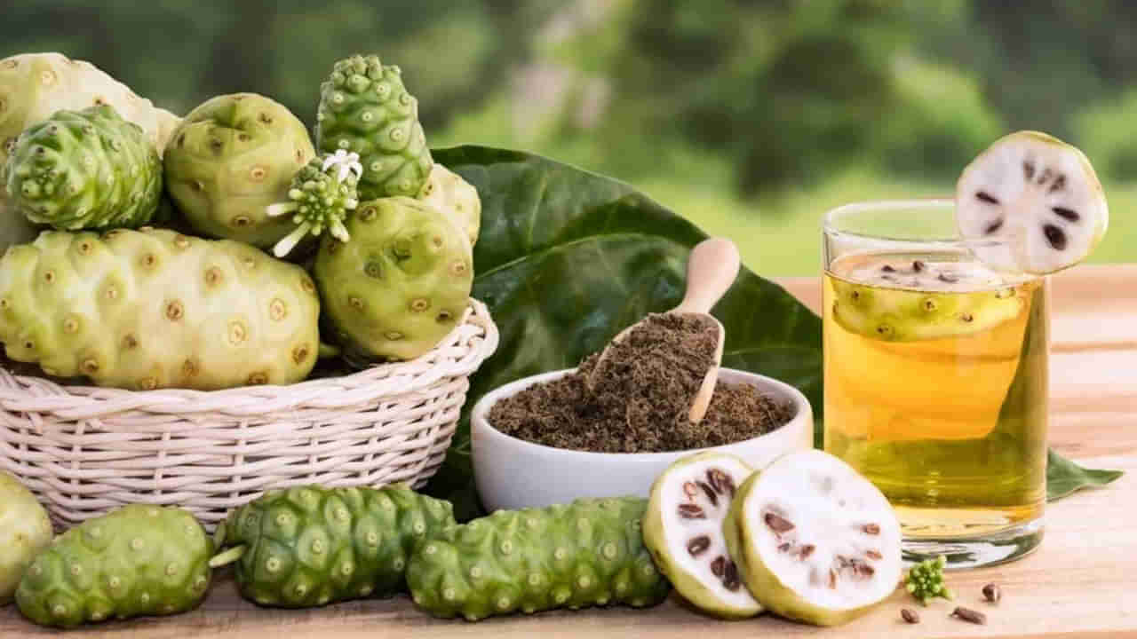 ​Noni Fruit: ఇది పండుకాదు.. అమృత ఫలం..! ఆరోగ్య ప్రయోజనాలు తెలిస్తే అస్సలు విడిచిపెట్టరు..