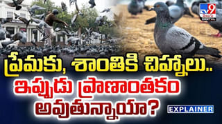 ఏంటి మమ్మి ఇలా ఉన్నారు.. వాట్సాప్‌ ద్వారా బ్యాంకు మేనేజర్‌నే ముంచేశాడు..
