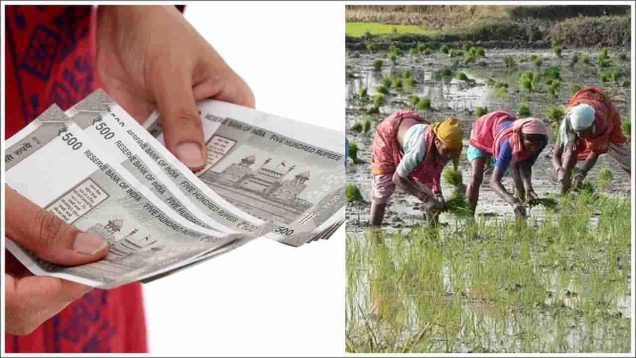 PM Kisan: రైతులకు శుభవార్త.. పీఎం కిసాన్‌ 19వ విడత వచ్చేది ఎప్పుడో తెలుసా..?