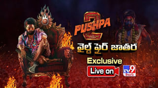 Pushpa 2: కిసిక్ పాటకు ఊగిపోయిన ముసలవ్వ.. మనవడితో కలిసి డాన్స్ అదరగొట్టేసింది..