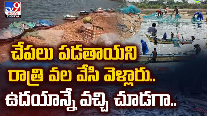 చేపలు పడతాయని రాత్రి వల వేసి వెళ్లారు.. ఉదయాన్నే వచ్చి చూడగా చేపలు పడతాయని రాత్రి వల వేసి వెళ్లారు.. ఉదయాన్నే వచ్చి చూడగా