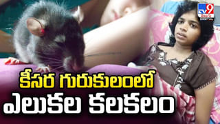 ఎముకలు కొరికే చలి…ఇంకా ఎన్నాళ్లు ??