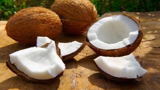 Ola: ఇక జొమాటో, స్విగ్గీకి దబిడి దిబిడే.. క్విక్ ఫుడ్ డెలివరీ రంగంలోకి ఓలా ఎంట్రీ