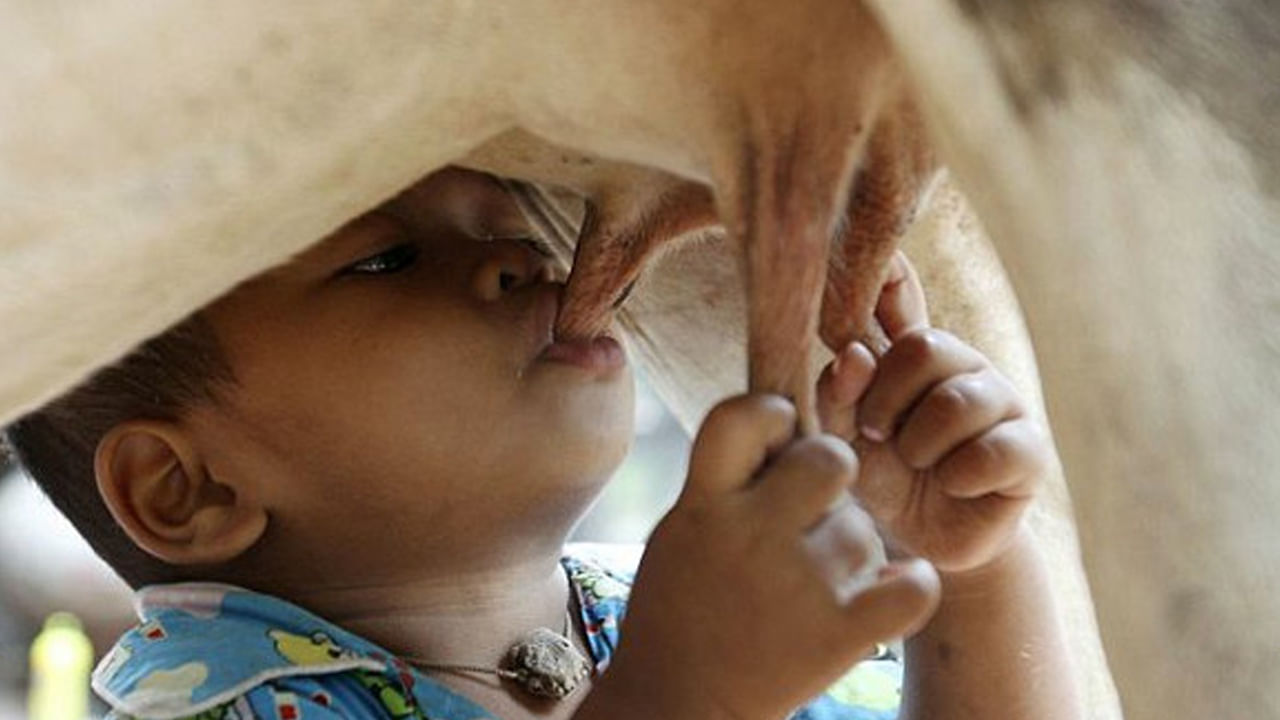 Raw Milk: పచ్చి పాలను తాగుతున్నారా.. ఎన్ని వ్యాధులకు వెల్కమ్ చెబుతున్నారో తెలుసా..!