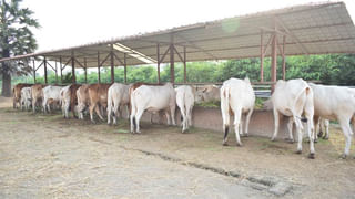 Hyderabad: చెక్‌పోస్ట్ దగ్గర ఆగిన బోలోరో కారు.. లోపల కనిపించింది చూడగా కళ్లు బైర్లు