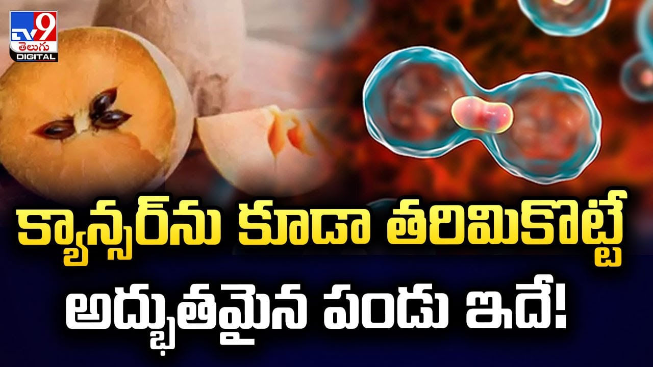 క్యాన్సర్‌ను కూడా తరిమికొట్టే అద్భుతమైన పండు ఇదే !!