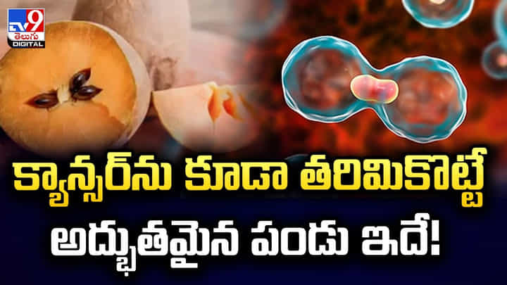 క్యాన్సర్ను కూడా తరిమికొట్టే అద్భుతమైన పండు ఇదే !! క్యాన్సర్ను కూడా తరిమికొట్టే అద్భుతమైన పండు ఇదే !!