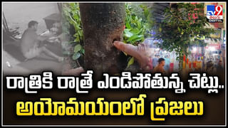 Viral: మామను చెప్పుతో కొట్టిన కోడలు.! అడ్డుకున్న పెంపుడు శునకం..