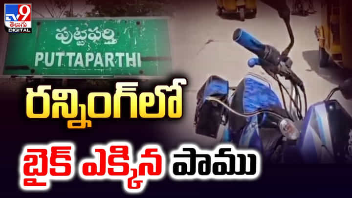 ఇదేం కామెడి మావ.. రన్నింగ్లో బైక్ ఎక్కిన పాము ఇదేం కామెడి మావ.. రన్నింగ్లో బైక్ ఎక్కిన పాము