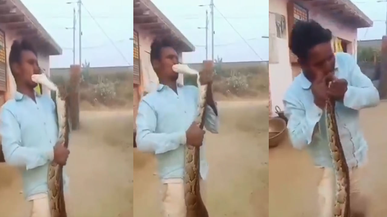 Snake viral video: పాముతోనే పరాచకం.. హద్దు మీరి ముద్దు పెట్టి.. ఆ తర్వాత జరిగింది చూడాల్సిందే..