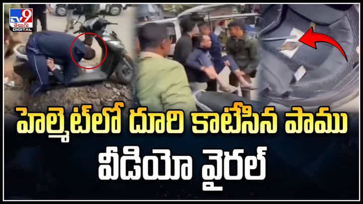 Viral: హెల్మెట్లో దూరి.. కాటేసిన పాము.! గుండె గుబేల్ అనిపించే వీడియో.. Viral: హెల్మెట్లో దూరి.. కాటేసిన పాము.! గుండె గుబేల్ అనిపించే వీడియో..