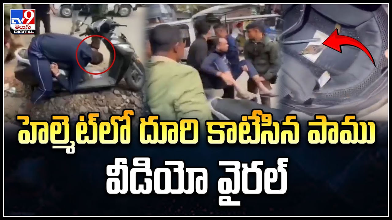 Viral: హెల్మెట్‌లో దూరి.. కాటేసిన పాము.! గుండె గుబేల్ అనిపించే వీడియో..