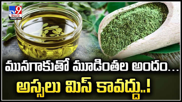 Drumstick Leaves: మునగాకుతో మూడింతల అందం.. అస్సలు మిస్ కావద్దు.! Drumstick Leaves: మునగాకుతో మూడింతల అందం.. అస్సలు మిస్ కావద్దు.!