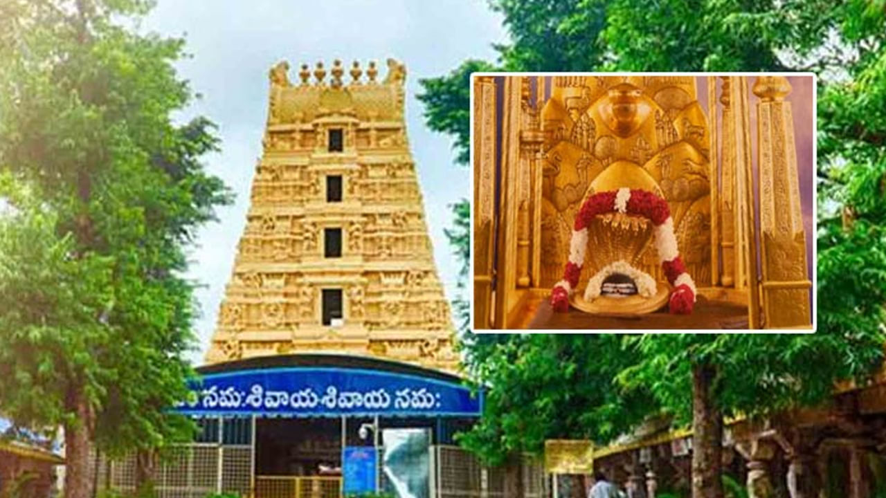 Srisailam Temple : భక్తులకు శుభవార్త.. స్పర్శ దర్శనంపై శ్రీశైలం దేవస్థానం కీలక నిర్ణయం