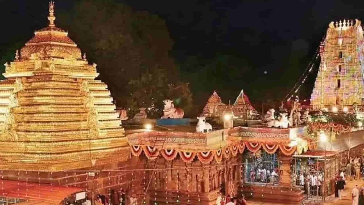 Srisailam: శ్రీశైలం శివరాత్రి ఏర్పాట్లలో అపశృతి.. అధికారుల నిర్లక్ష్యానికి గాలిలోకి కార్మికుడి ప్రాణాలు..!