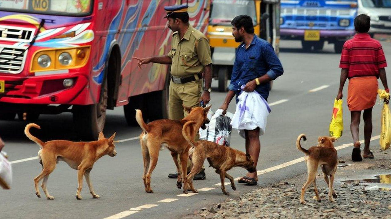 Telangana: మళ్లీ చెలరేగిన పిచ్చికుక్కలు.. 26 మంది చిన్నారులపై దాడి! ఎక్కడంటే