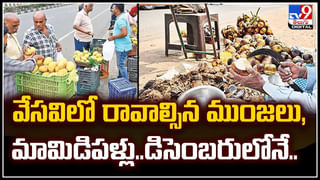 Chicken Cutlet: ఈజీగా ఇంట్లోనే ఈ చికెన్ కట్‌లెట్ చేయండి.. స్నాక్స్‌గా అదురుతాయి..