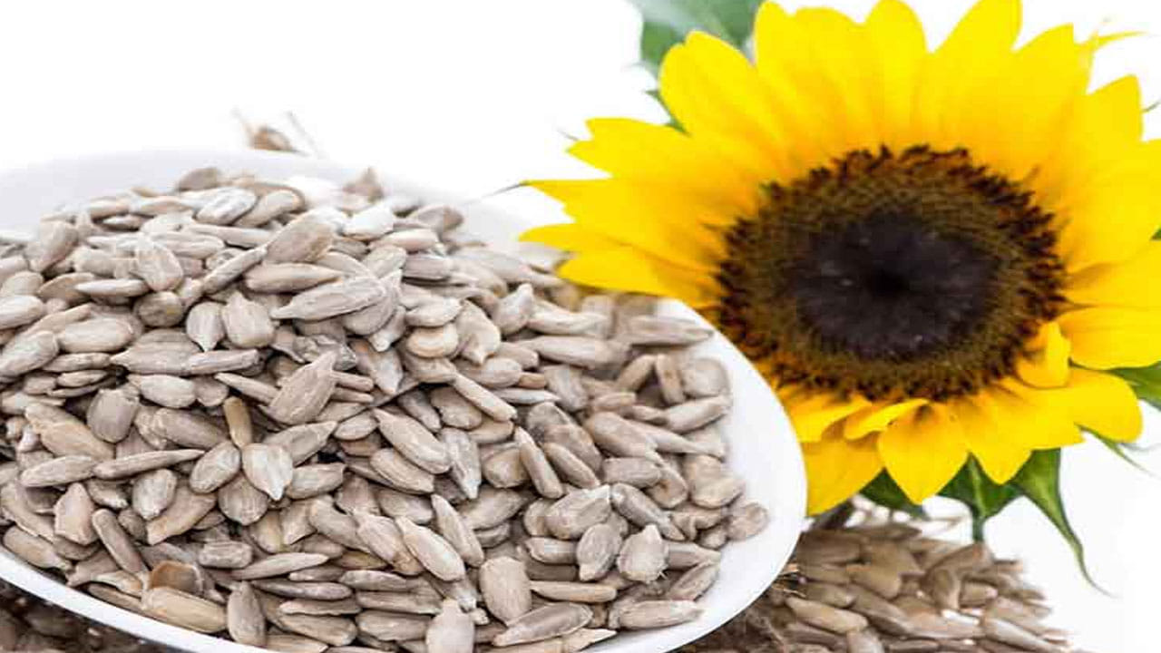 ఎముకల ఆరోగ్యాన్ని పెంపొందించడంలో కూడా పొద్దుతిరుగుడు విత్తనాలు ఎంతో మేలు చేస్తాయి. మీరు కీళ్ల నొప్పుల నుండి కూడా ఉపశమనం కలిగిస్తుంది.  ఎందుకంటే ఇందులో కాల్షియం, మెగ్నీషియం, జింక్ మరియు ఇనుము మంచి మొత్తంలో ఉంటాయి.