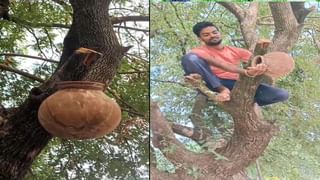 అంబానీ ఆస్తుల నుంచి కృతి సనన్ ఎత్తు వరకు.? అలెక్సాను భారతీయులు అడిగిన ప్రశ్నలు ఇవే