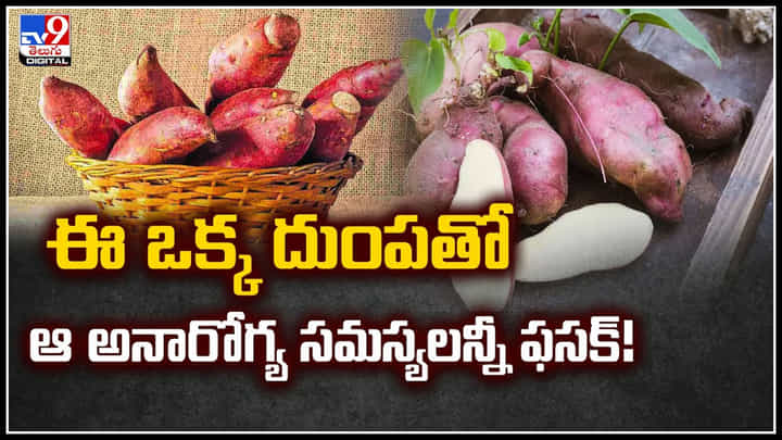 Sweet Potato: ఈ ఒక్క దుంపతో ఆ అనారోగ్య సమస్యలన్నీ ఫసక్.! Sweet Potato: ఈ ఒక్క దుంపతో ఆ అనారోగ్య సమస్యలన్నీ ఫసక్.!