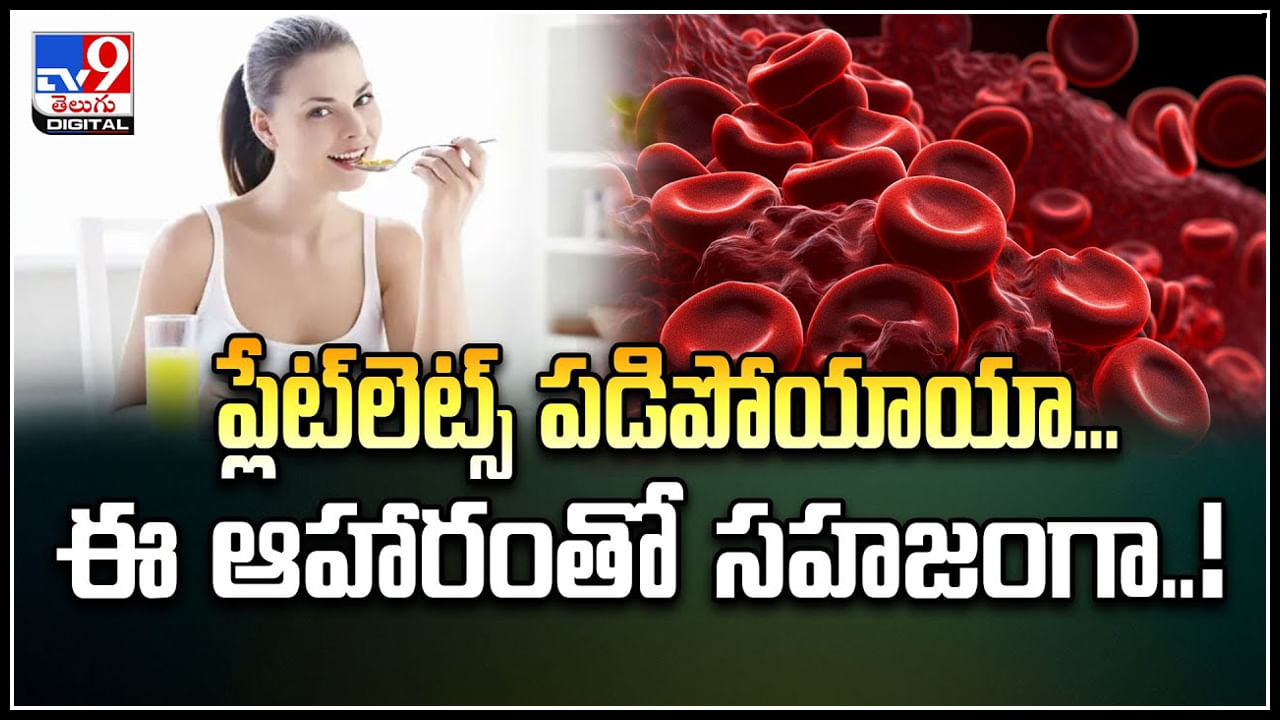 ప్లేట్లెట్స్ పడిపోయాయా.. ఈ ఆహారంతో సహజంగా పెంచుకోండి.! ప్లేట్లెట్స్ పడిపోయాయా.. ఈ ఆహారంతో సహజంగా పెంచుకోండి.!