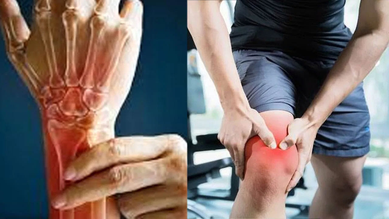 లేదంటే ఎముకల ఆరోగ్యం దెబ్బతిని బోలు ఎముకల వ్యాధి ప్రమాదాన్ని కూడా తగ్గిస్తుంది. కాబట్టి ఎముకలు దృఢంగా ఉండాలంటే కొన్ని ఆహారాలు తీసుకోవాలి. అవేంటంటే.. గుడ్డు పచ్చసొన, ఇందులో పోషకాలు పుష్కలంగా ఉంటాయి. కాల్షియం, విటమిన్ డి, విటమిన్ కె పుష్కలంగా ఉంటాయి. ఈ కారకాలన్నీ ఎముకల ఆరోగ్యాన్ని మెరుగుపరచడంలో సహాయపడతాయి.