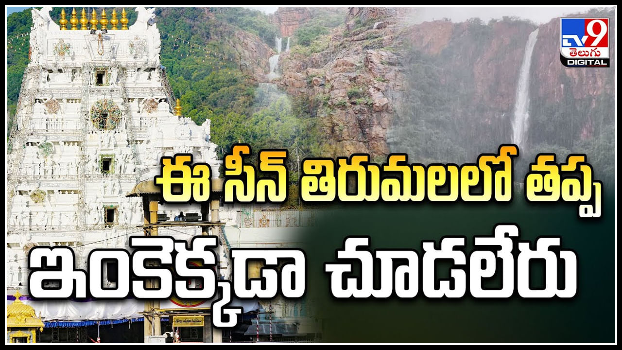 Tirumala: ఈ సీన్ తిరుమలలో తప్ప ఇంకెక్కడా చూడలేరు.! వీడియో వైరల్..