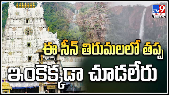 Tirumala: ఈ సీన్ తిరుమలలో తప్ప ఇంకెక్కడా చూడలేరు.! వీడియో వైరల్.. Tirumala: ఈ సీన్ తిరుమలలో తప్ప ఇంకెక్కడా చూడలేరు.! వీడియో వైరల్..