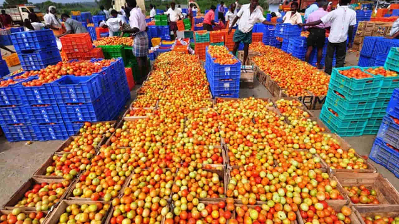 AP News: ఒక్కసారిగా పతనమైన టమాటా ధర.. కేజీ ఎంతో తెల్సా..?