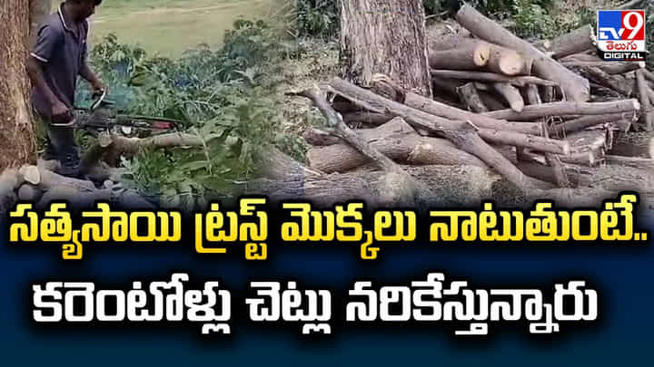 సత్యసాయి ట్రస్ట్ మొక్కలు నాటుతుంటే.. కరెంటోళ్లు చెట్లు నరికేస్తున్నారు సత్యసాయి ట్రస్ట్ మొక్కలు నాటుతుంటే.. కరెంటోళ్లు చెట్లు నరికేస్తున్నారు