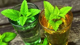 Raw Milk: పచ్చి పాలను తాగుతున్నారా.. ఎన్ని వ్యాధులకు వెల్కమ్ చెబుతున్నారో తెలుసా..!